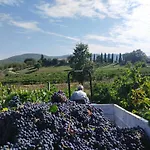 La Bulletta