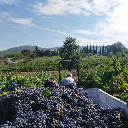 La Bulletta