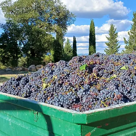 La Bulletta Feriehus *