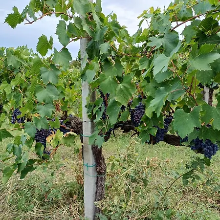 La Bulletta * Perugia