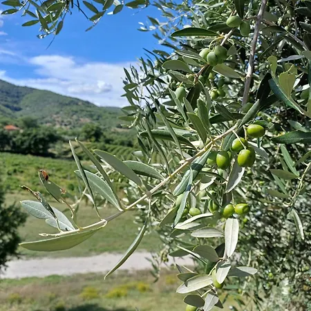 Holiday home La Bulletta *
