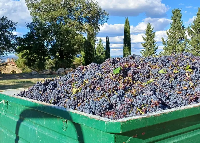 La Bulletta Vakantiehuis *