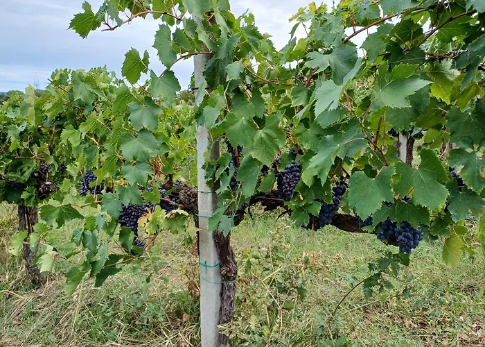 La Bulletta * Perugia