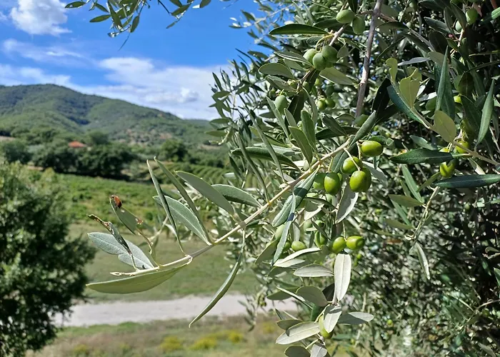 Prázdninový dům La Bulletta *