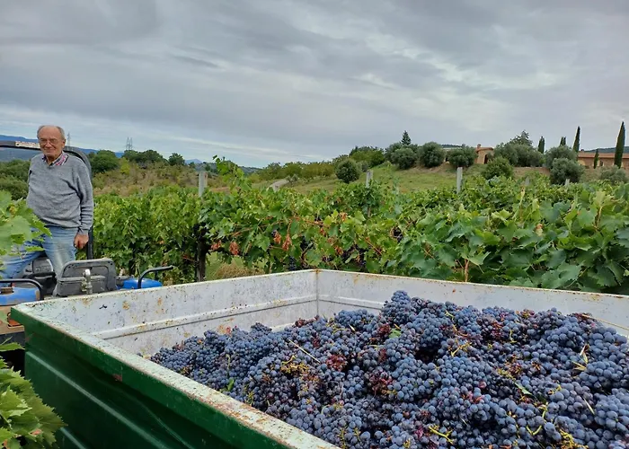 Сasa de vacaciones La Bulletta Perugia