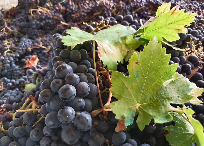 La Bulletta Prázdninový dům *